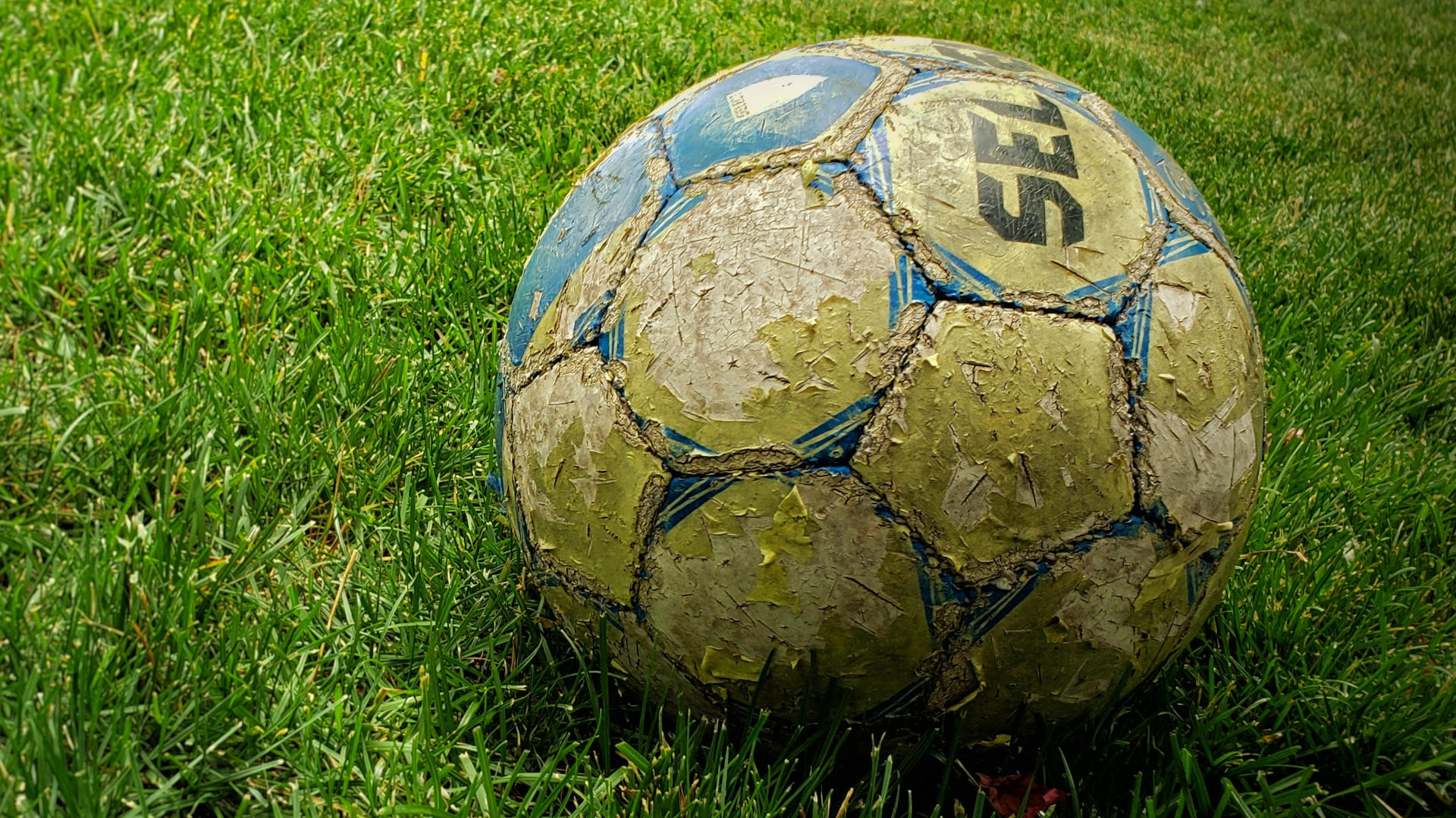 Fußball